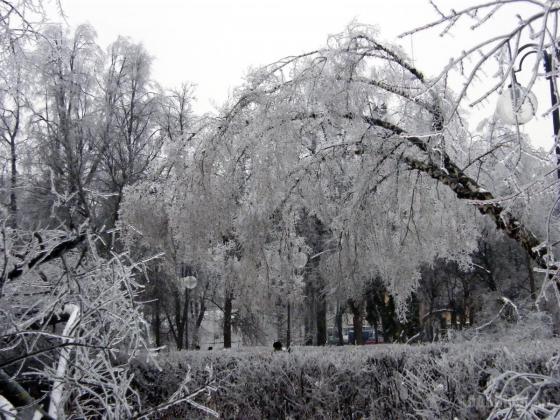 Сквер Поколений