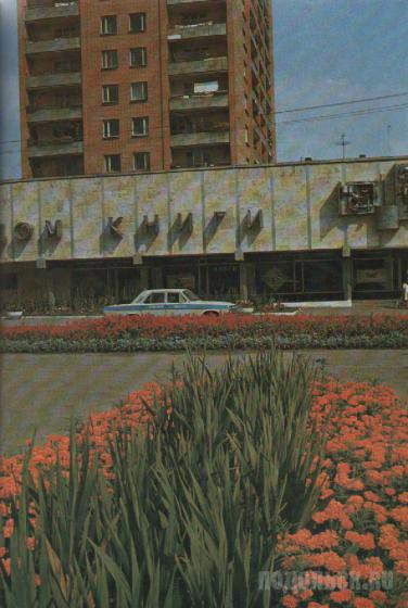 1981 г. 