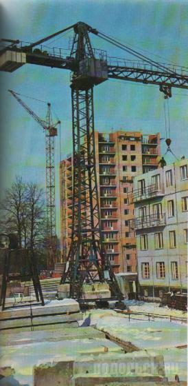 1981 г. 
