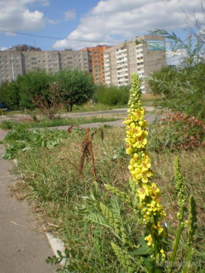 На Подольской улице 