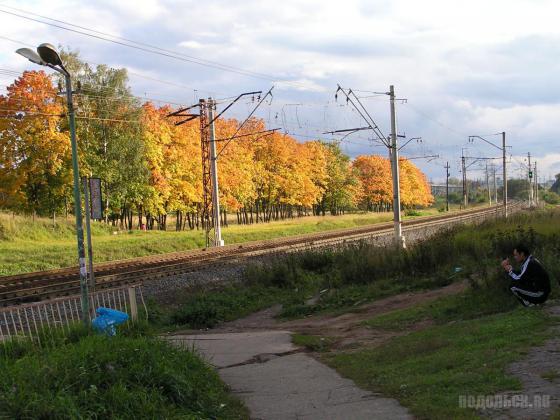 Станция Весенняя 