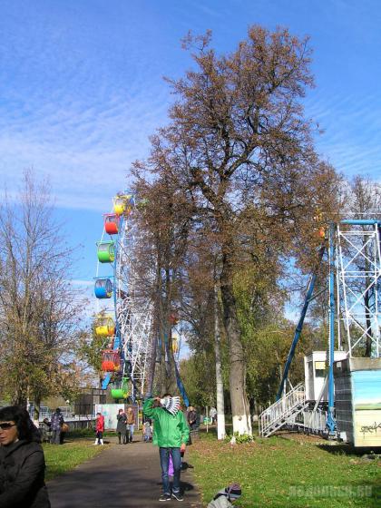 В парке имени Талалихина 6 октября 