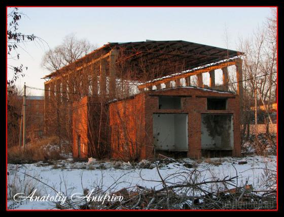 Прогулка по Цемянке 4.01.2008 г. 